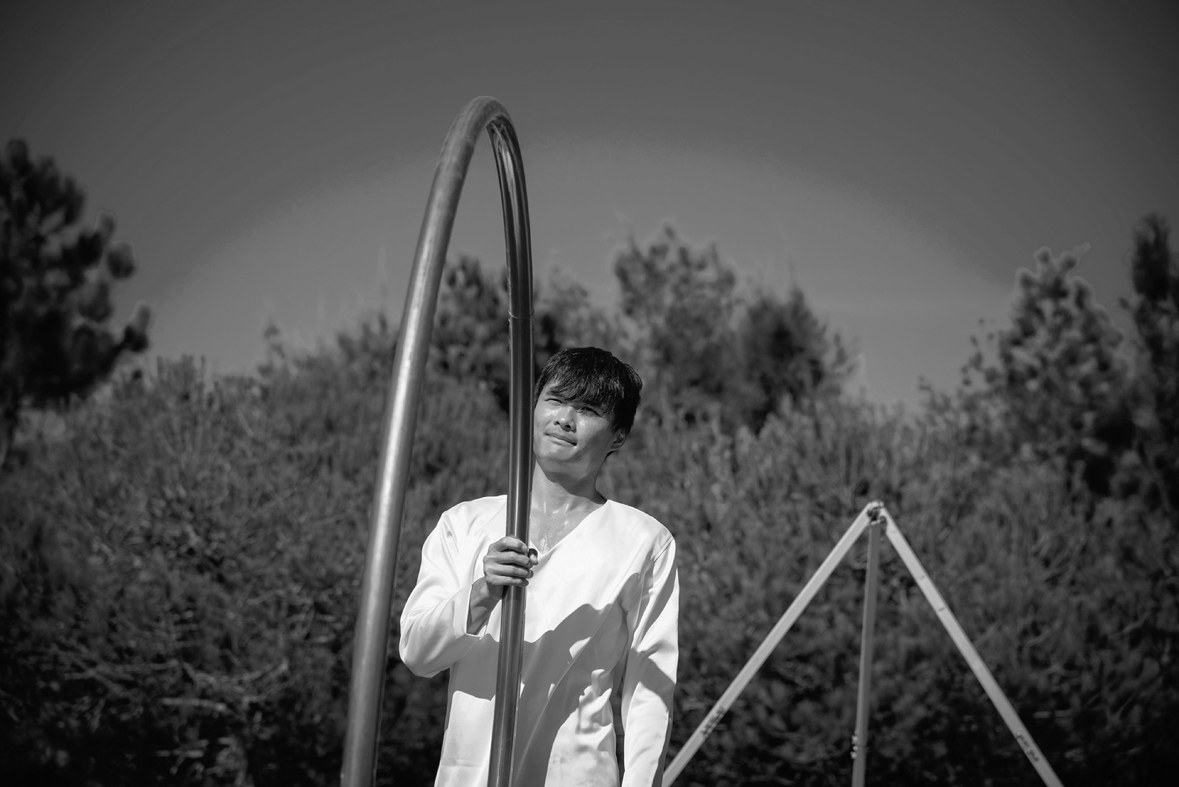 Cyr Wheel